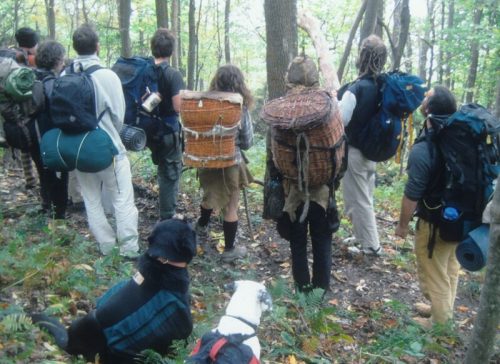 wild-foods-hike-edible-plants-in-north-carolina-wild-abundance