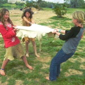 kids stretching a deer hide to soften it for hide tanning