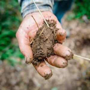 hand holding soil