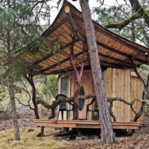 natural tiny house in the forest with curved branches as banister