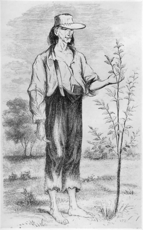 Johnny Appleseed and the Story of Apples in America Wild Abundance