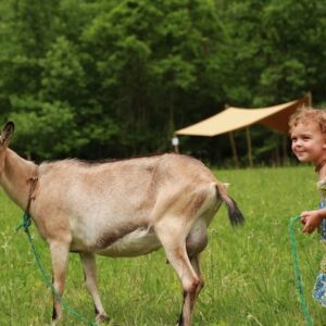 little girl with a goat smiling