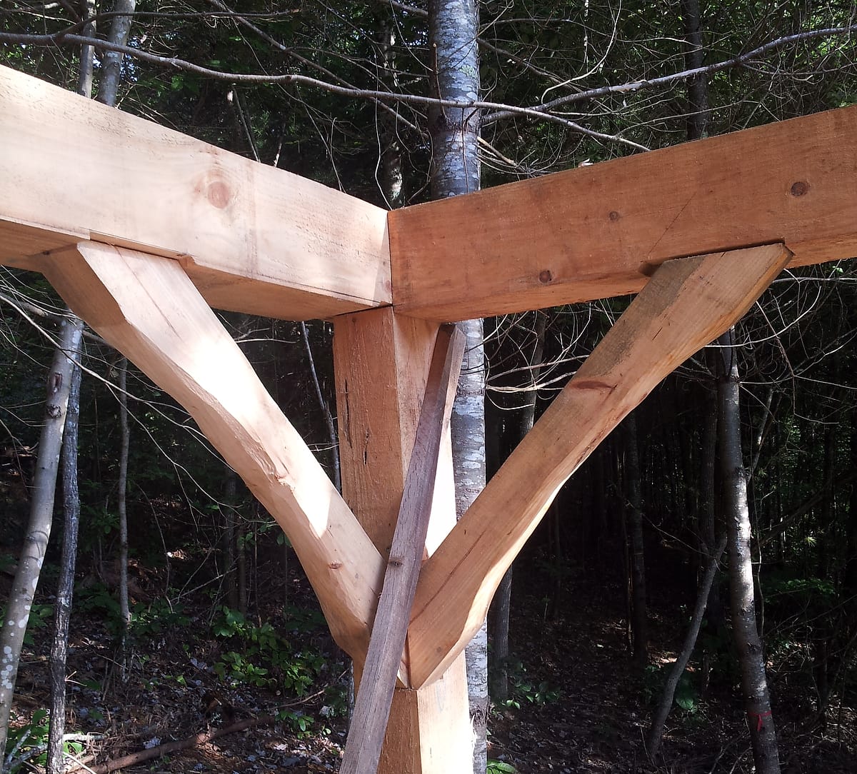 Closeup of a corner of a timber framed structure built with mortise and tenon joinery in a hands-on building workshop at Wild Abundance