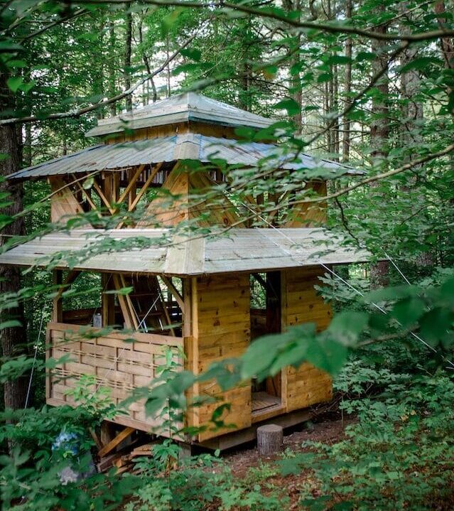 Cabin-like Tiny house in the woods