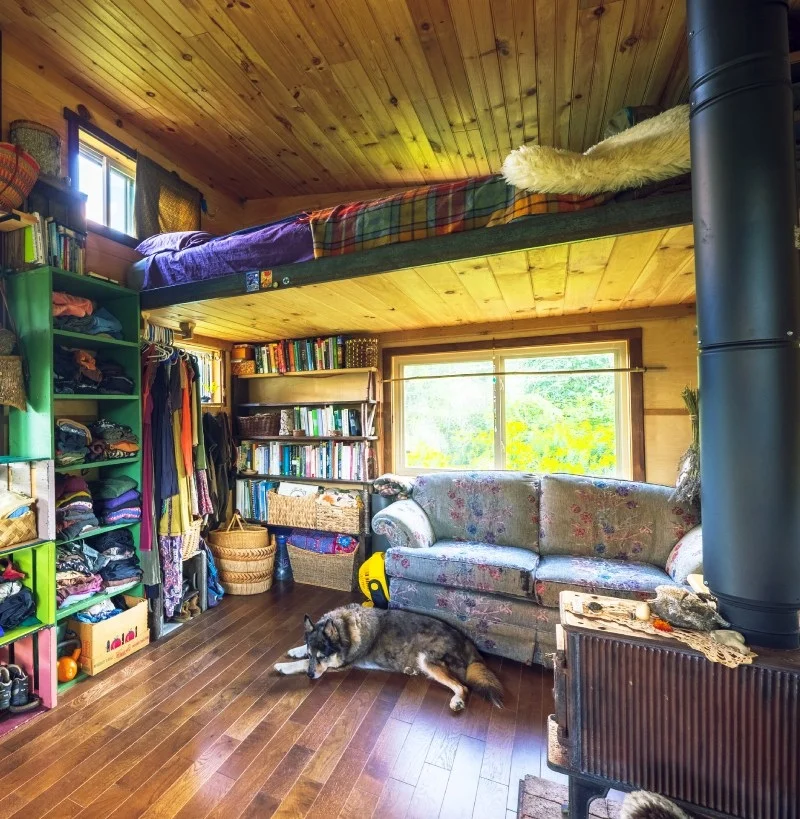 Living in a Tiny House - Wild Abundance