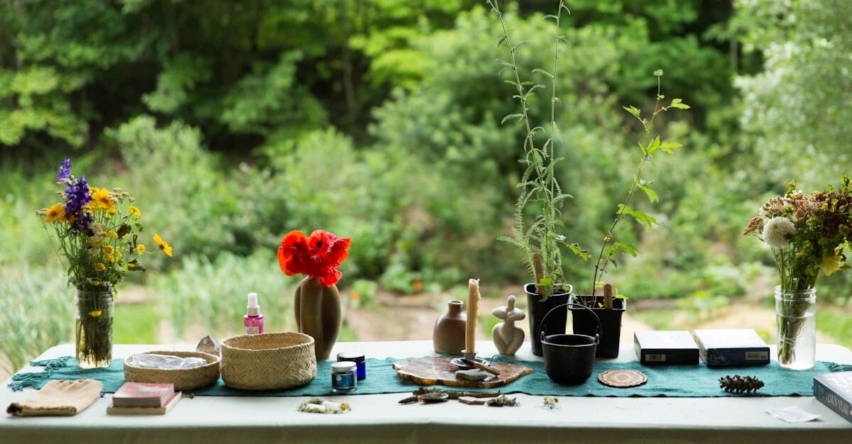 An table with beautiful object collected from nature, flowers in vases, tarot cards and other tools of intuition and ceremonial objects for reflection laid out on an altar during a Women's Rewilding Retreat at Wild Abundance