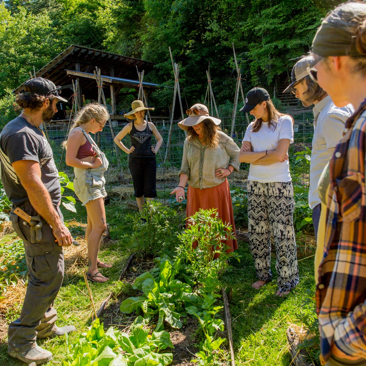 Natalie Bogwalker instructing student apprentices in the annual vegetable garden during the 9 month Gardening and Permaculture apprenticeship program at Wild Abundance's original campus